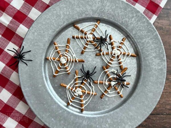 Pretzel Spider Webs