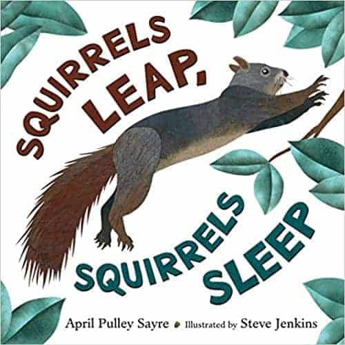 Squirrels Leap, Squirrels Sleep
